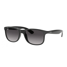 Ray-Ban ANDY 4202 601/8G